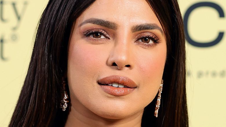 El que no sabíeu sobre la carrera de concursos de Priyanka Chopra